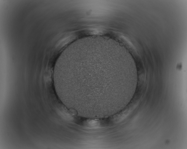 X0000101680325200807241352