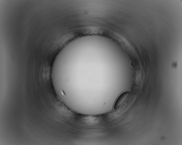 X0000101680326200807241351