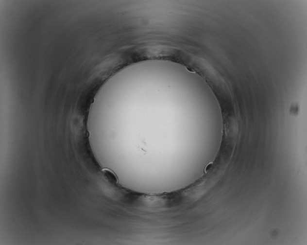 X0000101680327200807241351