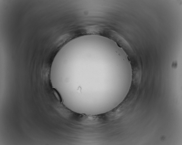 X0000101680329200807241351