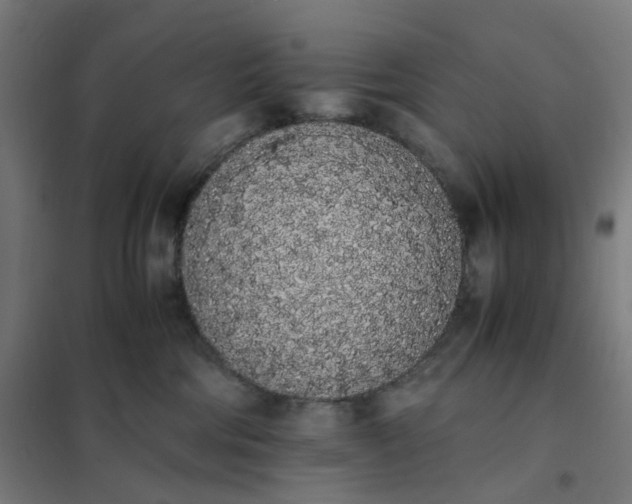 X0000101680330200807241351