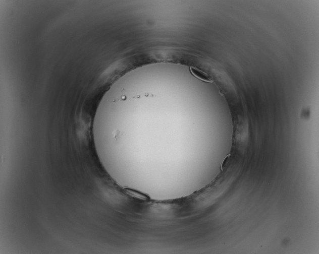 X0000101680332200807241351