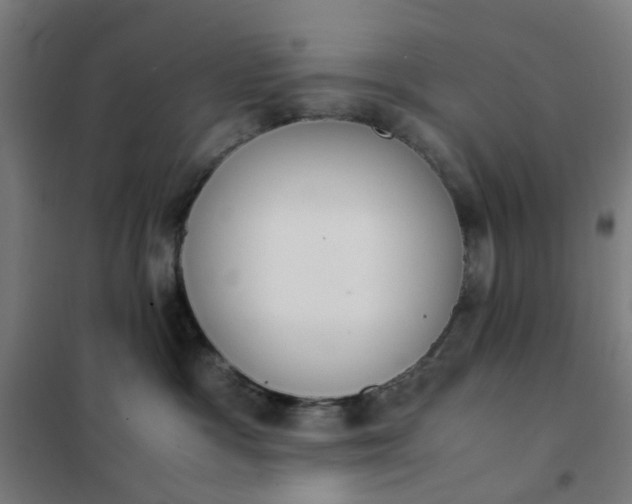 X0000101680333200807241351