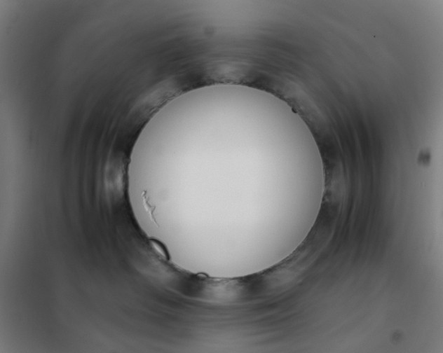 X0000101680334200807241351