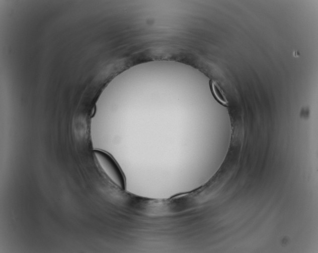 X0000101680335200807241351