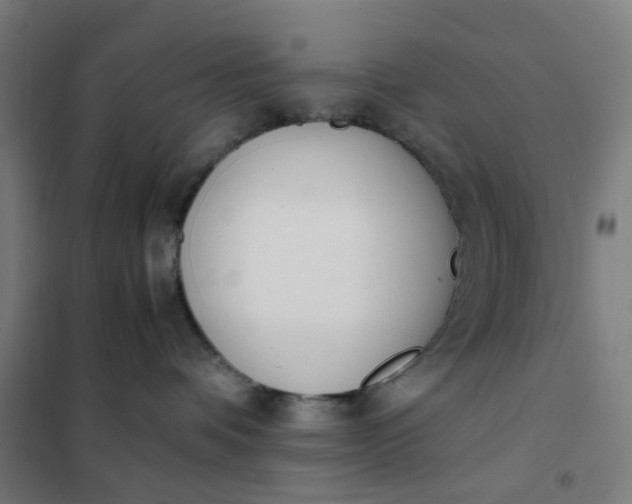 X0000101680336200807241351