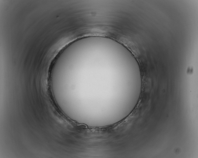 X0000101680338200807241351