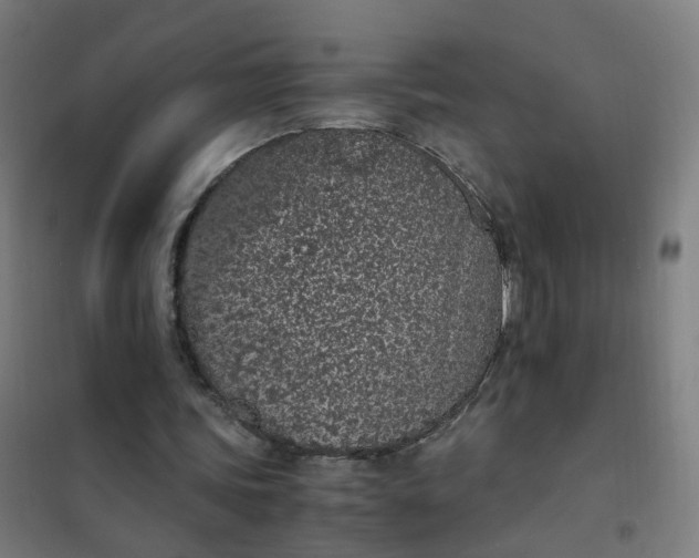 X0000101680339200807241351