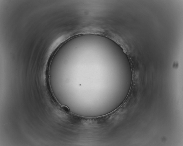 X0000101680340200807241351