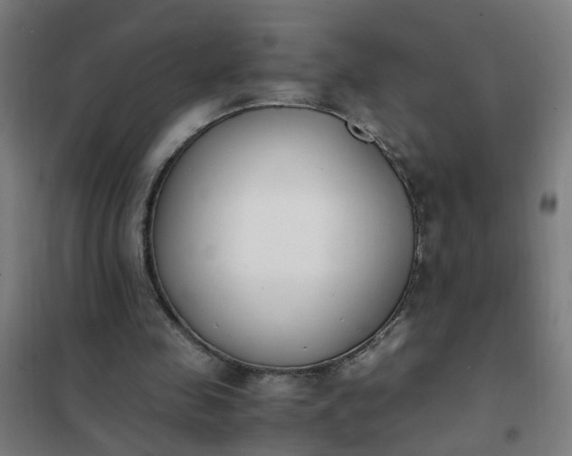 X0000101680341200807241351