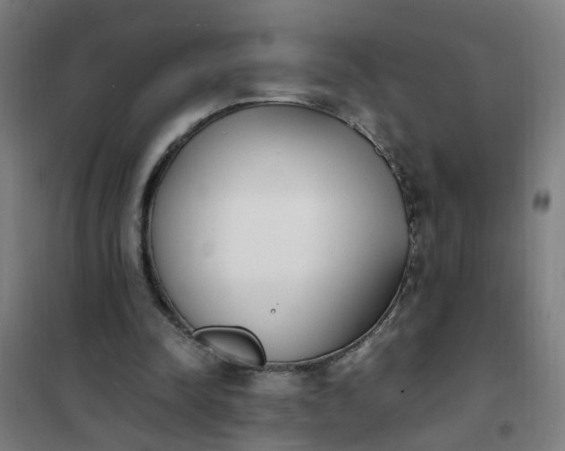 X0000101680342200807241351