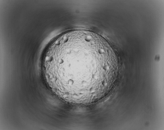 X0000101680343200807241351