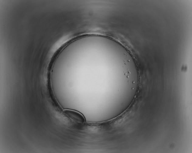 X0000101680344200807241351