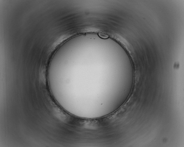 X0000101680345200807241351