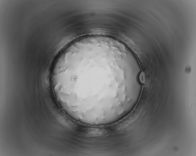 X0000101680347200807241351