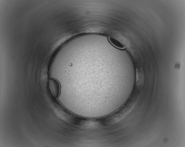 X0000101680348200807241351