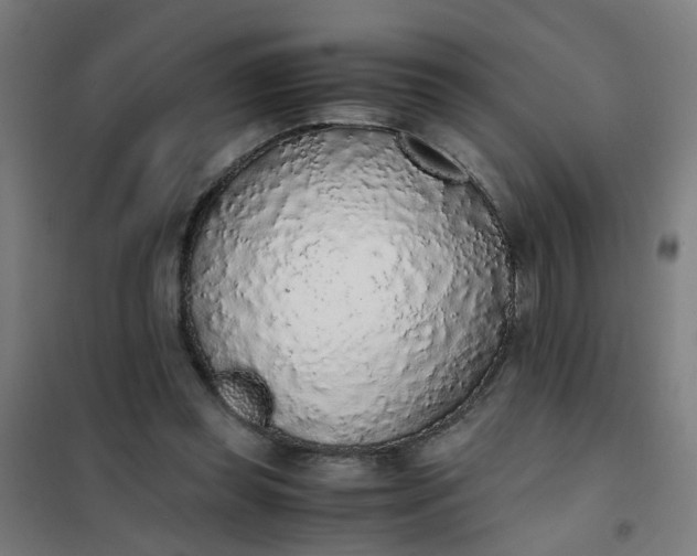 X0000101680349200807241351