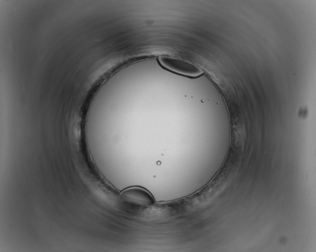 X0000101680350200807241351