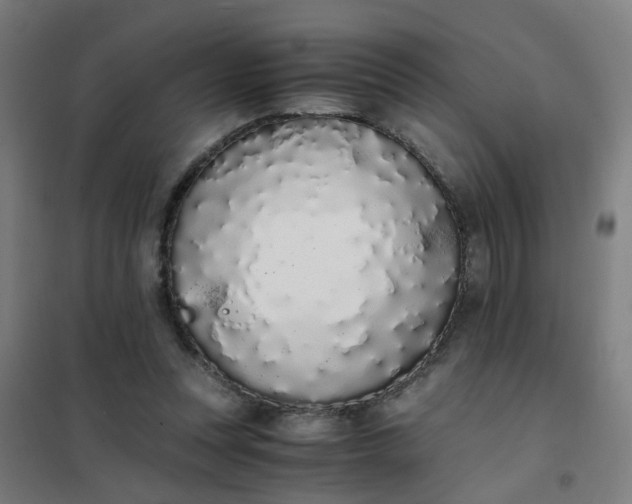 X0000101680351200807241351