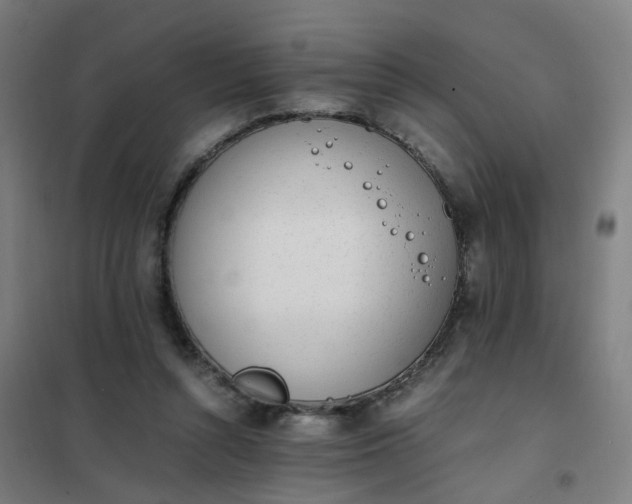 X0000101680352200807241351