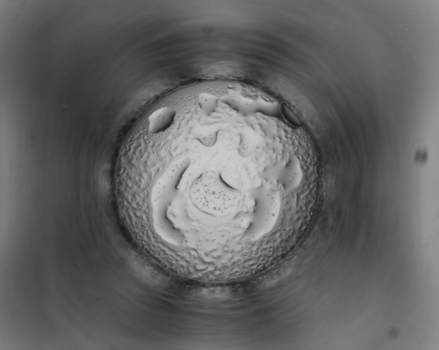 X0000101680353200807241351