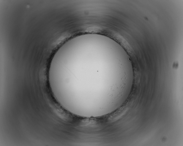 X0000101680354200807241351