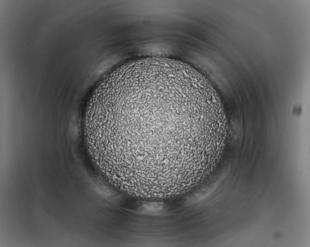 X0000101680355200807241351