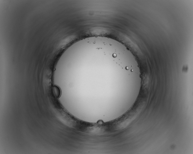 X0000101680356200807241351