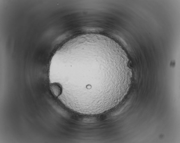 X0000101680357200807241351