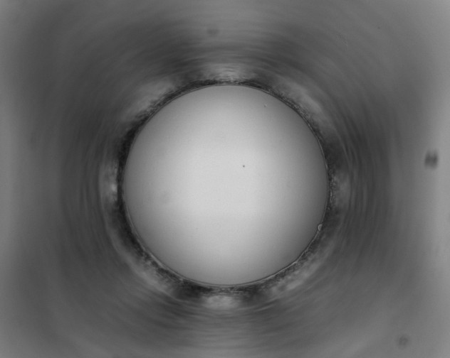 X0000101680358200807241351