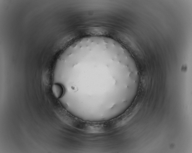 X0000101680359200807241351