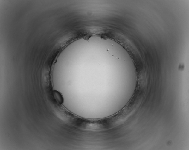 X0000101680360200807241351