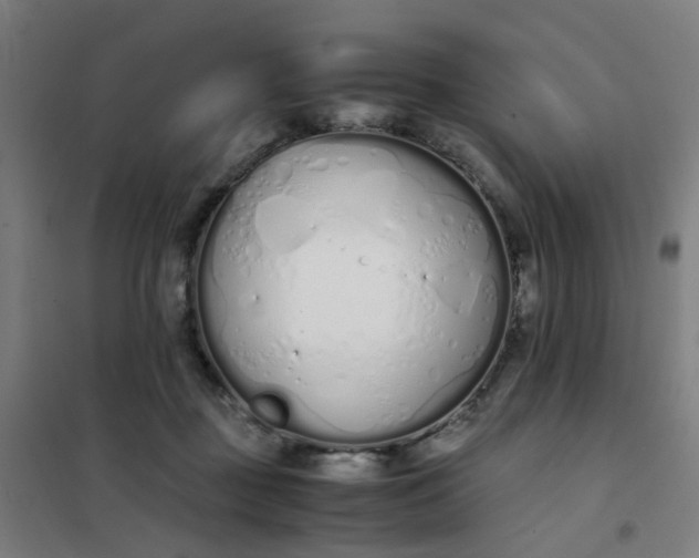 X0000101680363200807241351