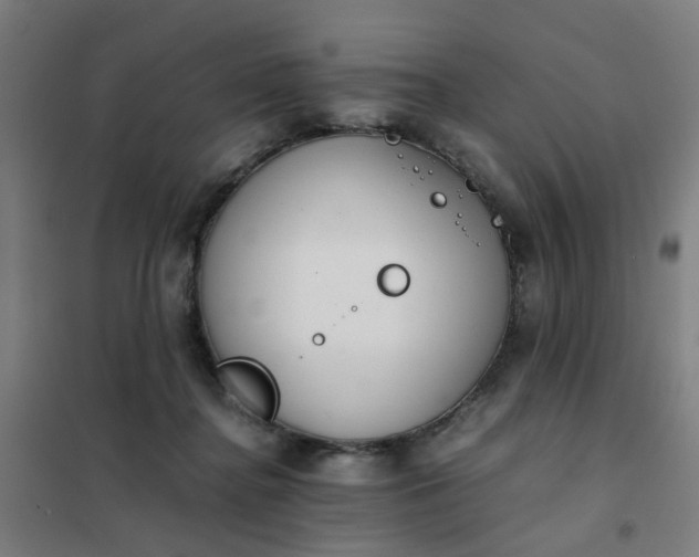 X0000101680364200807241351