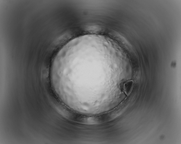 X0000101680365200807241351