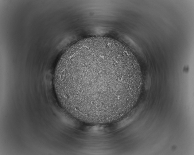 X0000101680366200807241351