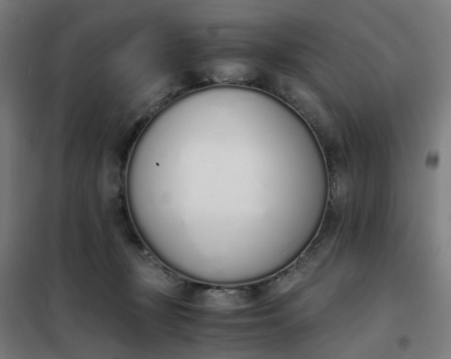 X0000101680367200807241351