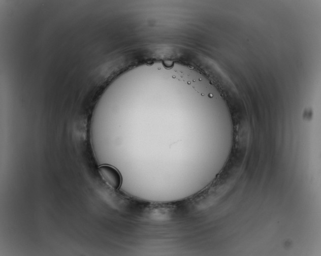 X0000101680368200807241351