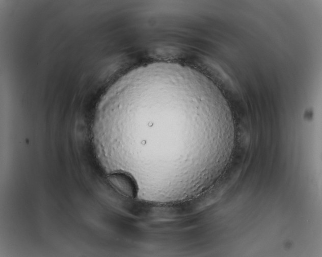 X0000101680371200807241351