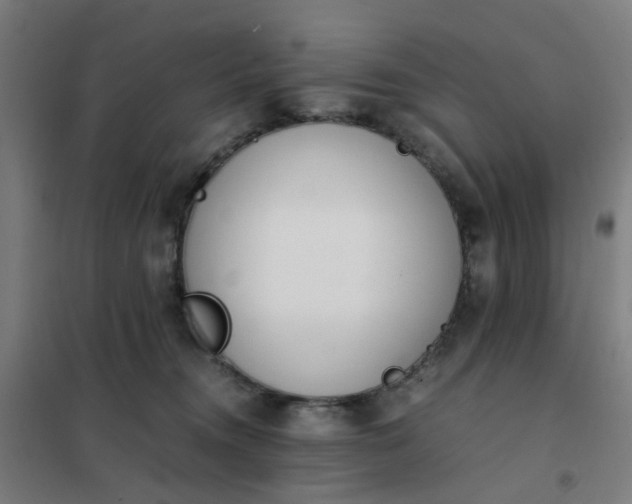 X0000101680372200807241351