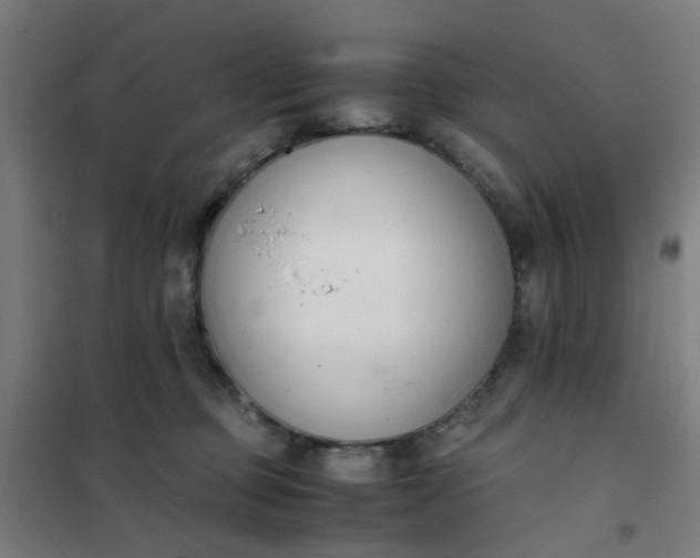 X0000101680373200807241351