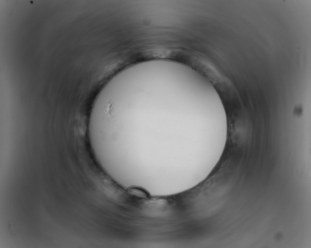 X0000101680374200807241351