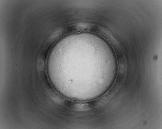 X0000101680375200807241351