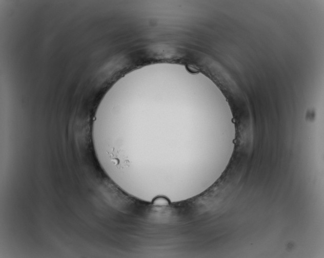 X0000101680376200807241351