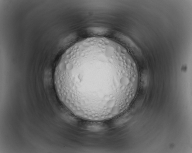 X0000101680377200807241351