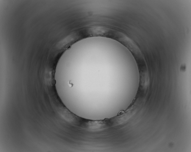 X0000101680378200807241351