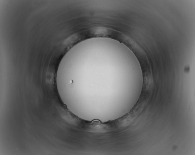 X0000101680379200807241351