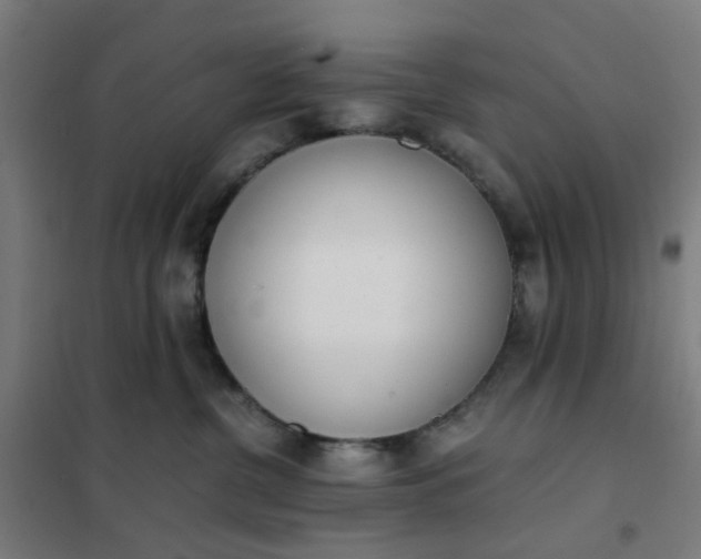 X0000101680380200807241351