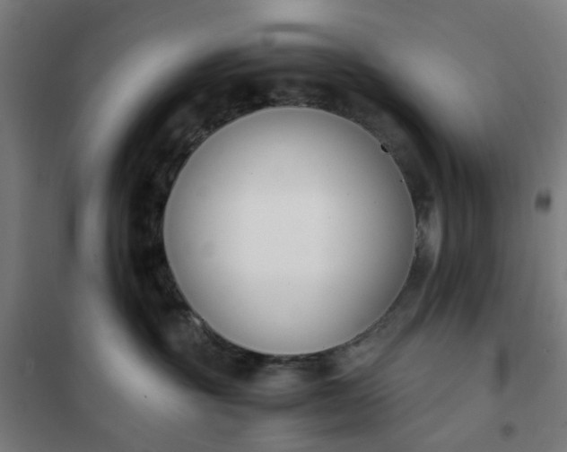 X0000101680381200807241351