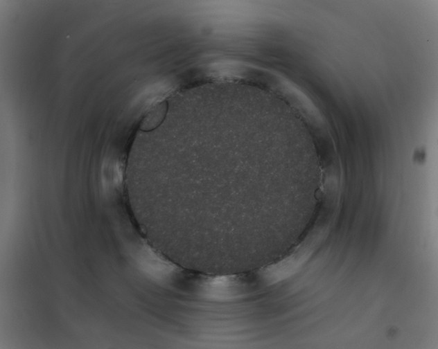 X0000101680382200807241351